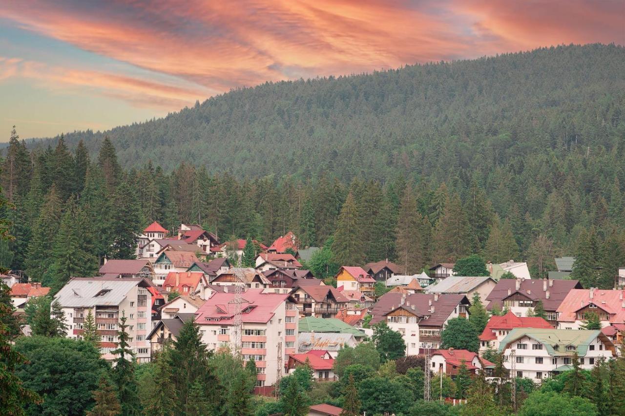 Vila Luna Predeal Εξωτερικό φωτογραφία