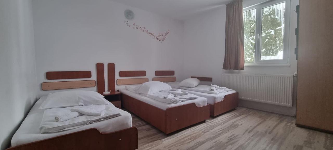 Vila Luna Predeal Δωμάτιο φωτογραφία